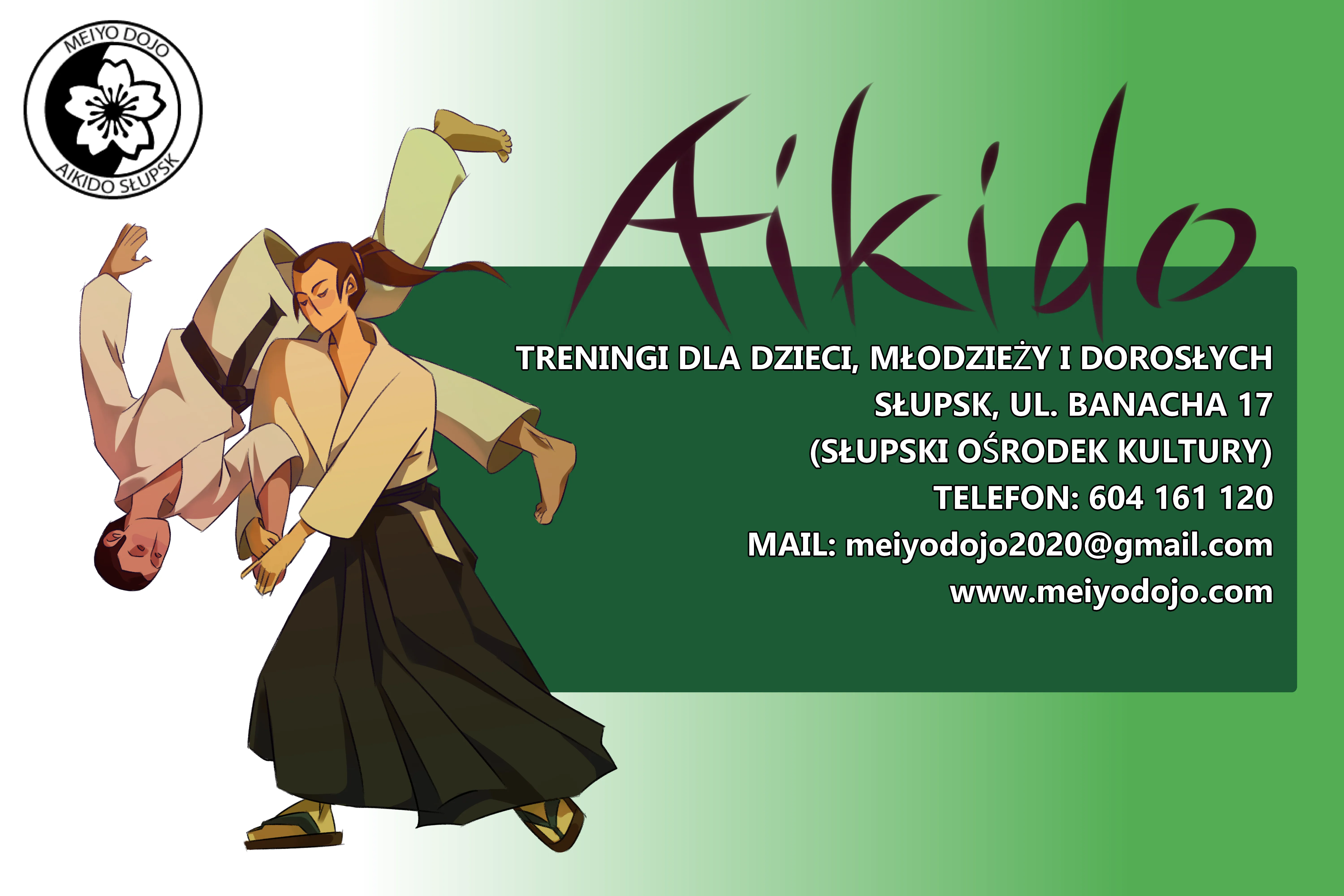 Plakat Aikido